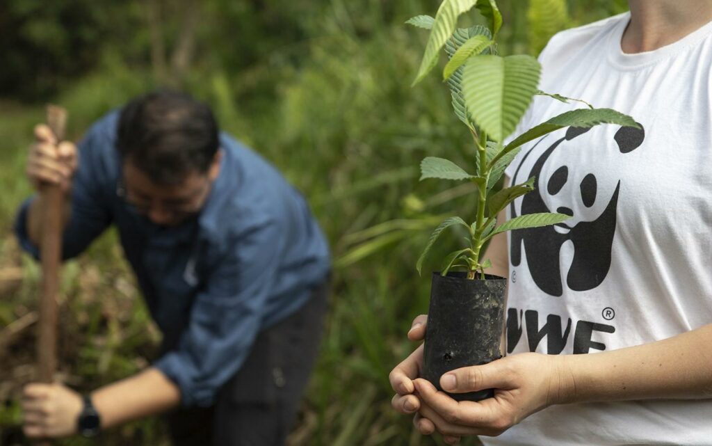 Recruteur de donateurs H/F (WWF – Itinérante SP – France)